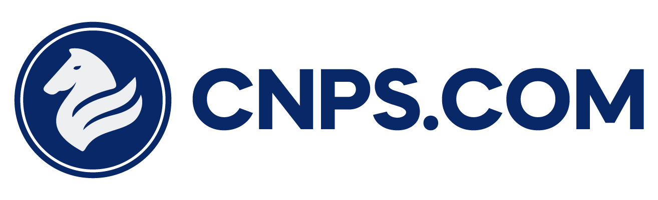 CNPS.COM LIMITED