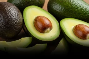 Culture d’avocat en Afrique : très lucrative ? (Tout comprendre) !